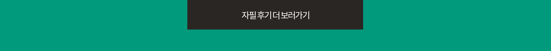 후기더보기